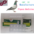 Antibacterial pigeon racing medicine Chinese herbal Veterinary and poultry medicine from Veterinary Pharmaceutical companies